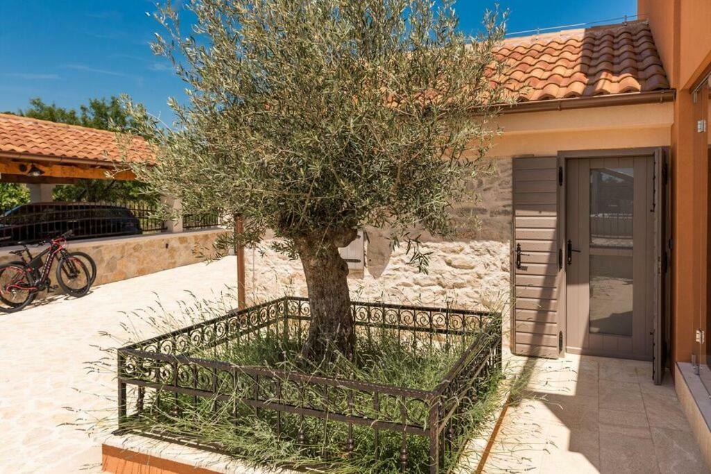 Villa Hirundo Rustica Skradin Extérieur photo